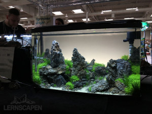 Aquascaping-Wettbewerb-HannoverScape2016-IMG_1071