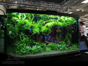 Aquascaping-Wettbewerb-HannoverScape2016-IMG_1072