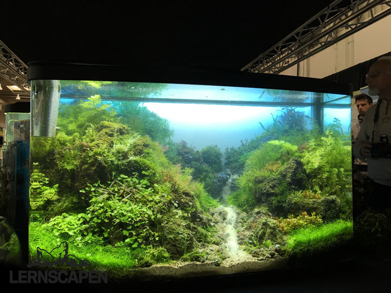 Aquascaping-Wettbewerb-HannoverScape2016-IMG_1074