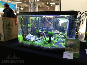 Aquascaping-Wettbewerb-HannoverScape2016-IMG_1081