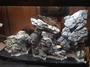 Aquascaping-Wettbewerb-Hardscape-Grundaufbau